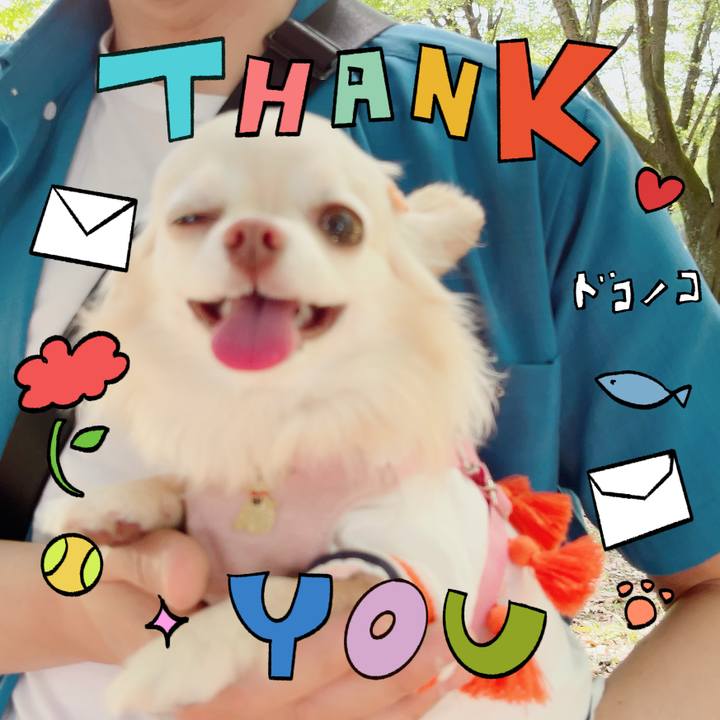 99d9ee18 4583 45f3 8053 787b91c6a25f 1714877520189