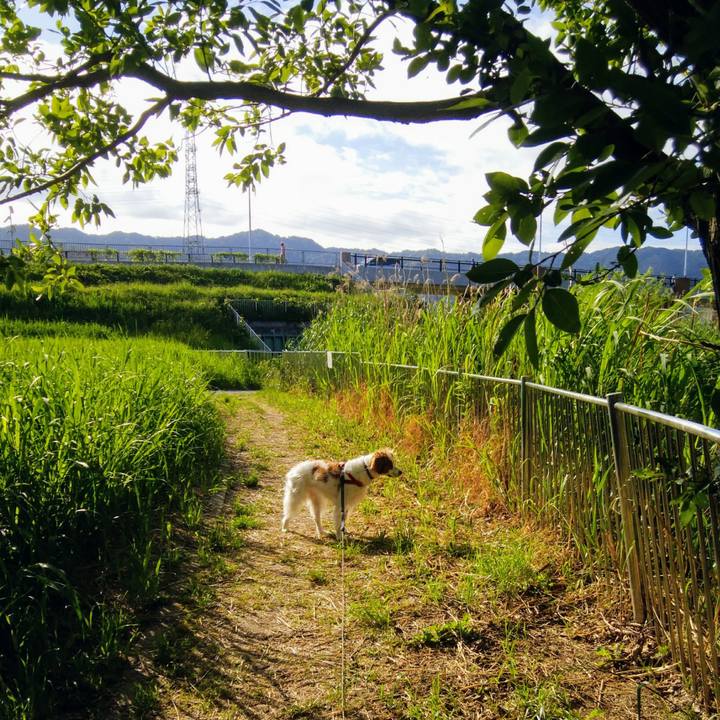 99d9f290 eb64 466b 87ad e886ee1c38ae 1558313812410