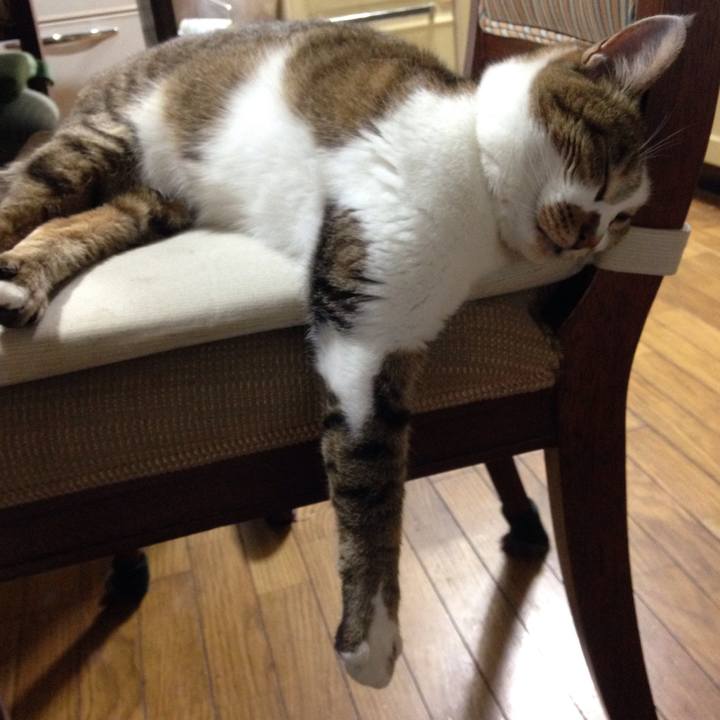 99da1e84 5715 4045 90e7 54ff612d087c 1523102624004