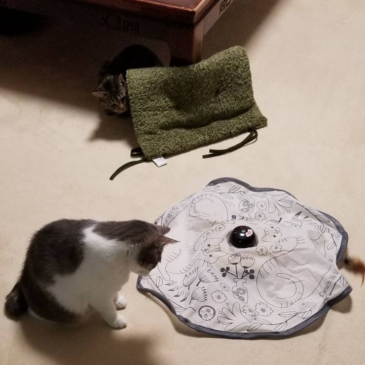 99da3151 dce8 43d0 8478 813fe6642958 1674651293202