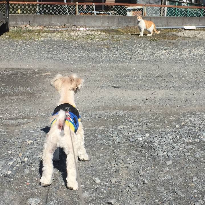 99da8816 508d 4353 aab2 865dc49c96f9 1519977498390