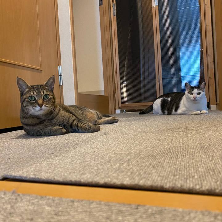 99da8d6f 160f 48ed 9403 af285dd73efe 1763002874815