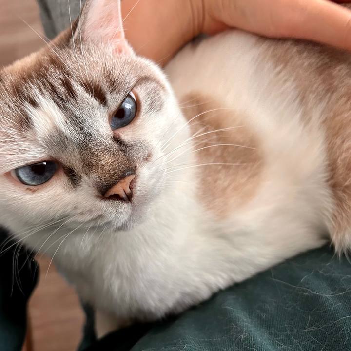 99daabeb 9b83 4142 9f3c b6f49dd1e2ce 1697876127138