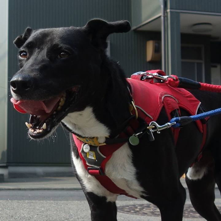 99dab839 f83a 4e01 a3f6 ff6f530c8567 1591319863457