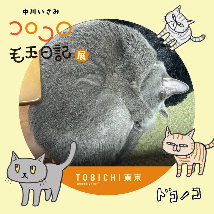 99dac8cc ff19 41cb 9ccd 508e198ad2d0 1740202832080