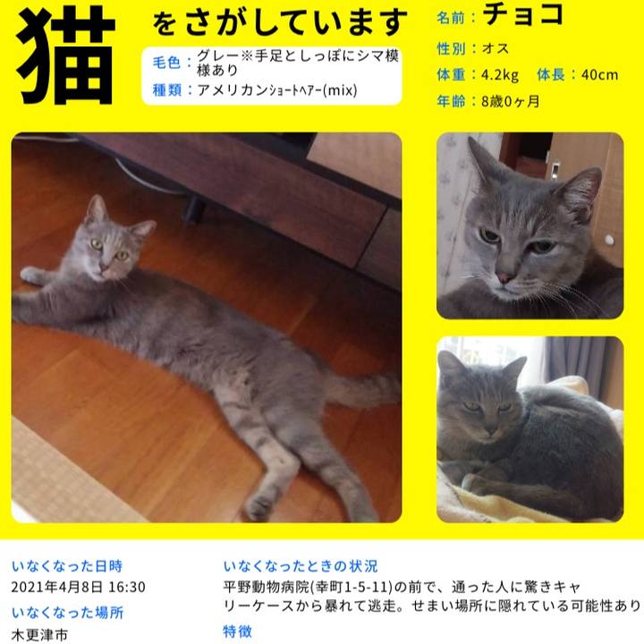 99dacfc6 dc5e 4877 96c8 9a74d900d336 1626140873402