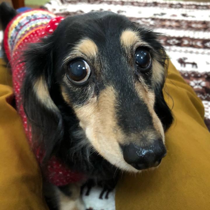 99dadc72 cf36 4308 a5bb 73586f1545b8 1576195927835