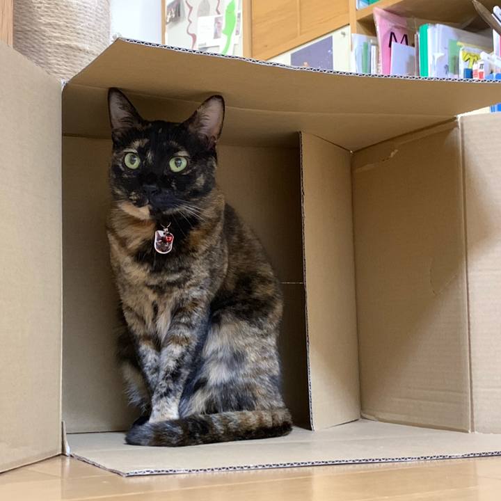 99db0811 b742 4545 b2e1 666a653535a0 1547044396985