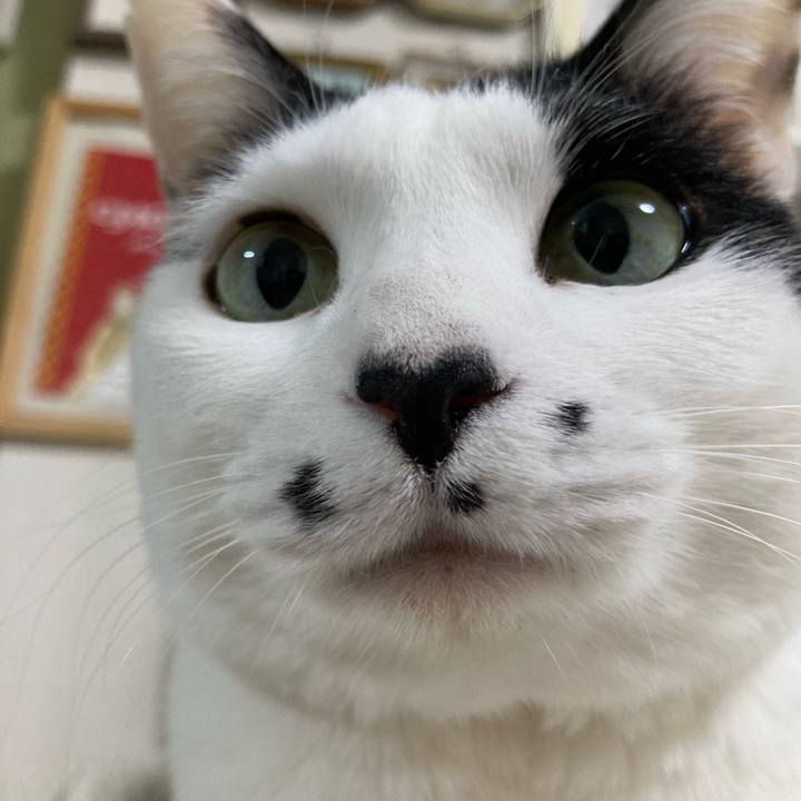 99db1a47 64da 46e9 bf62 e7a7491e5364 1772975986968