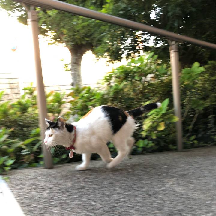 99db4422 0a5d 405f 8e35 0e35fa22950a 1633299649099