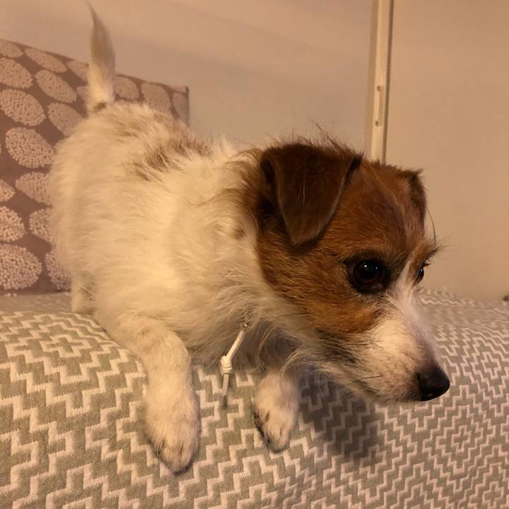 99dbc689 5126 4e03 bdc3 5ffb303fd29d 1608381315723