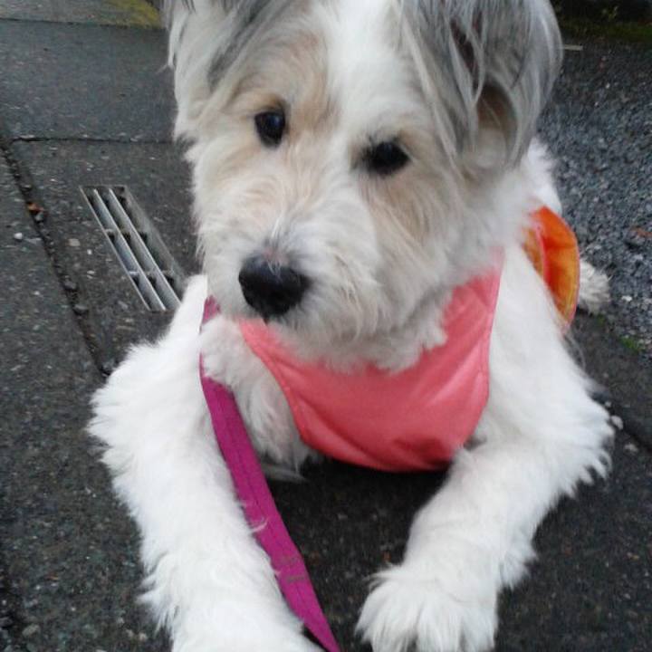 99dbf2eb d470 4763 9657 7efc57d2bc5c 1510717317625