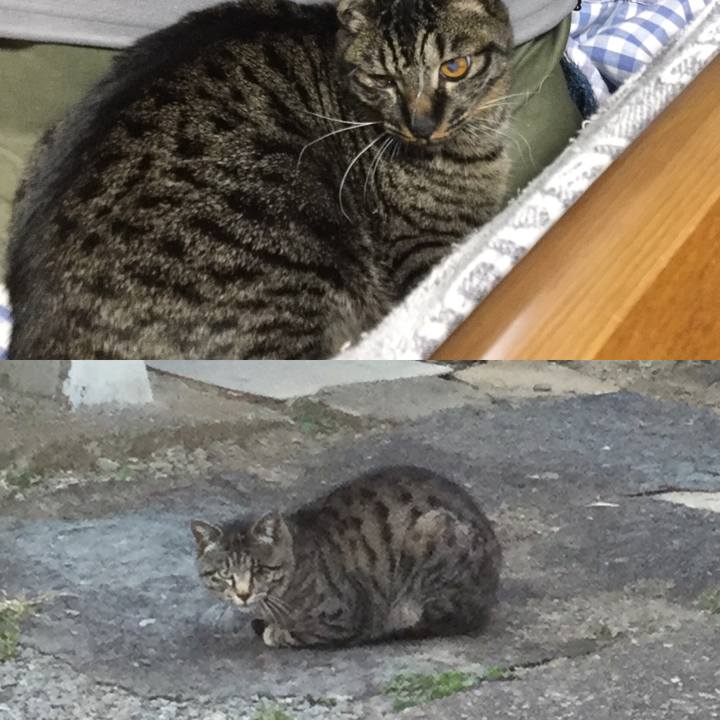 99dbf793 dd6c 4f18 ac33 151148322d13 1553511367776