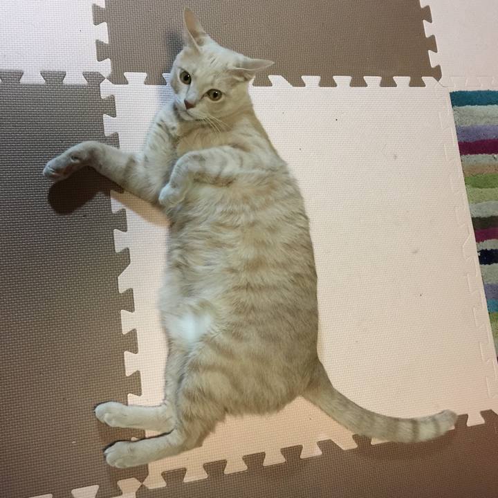 99dc0274 1303 4d6d 91a3 8389d732fc2d 1542520528799