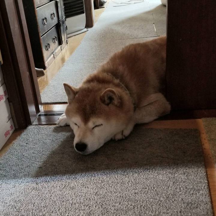 99dc17b3 68d5 4de3 a763 2c83ec499559 1706399672397