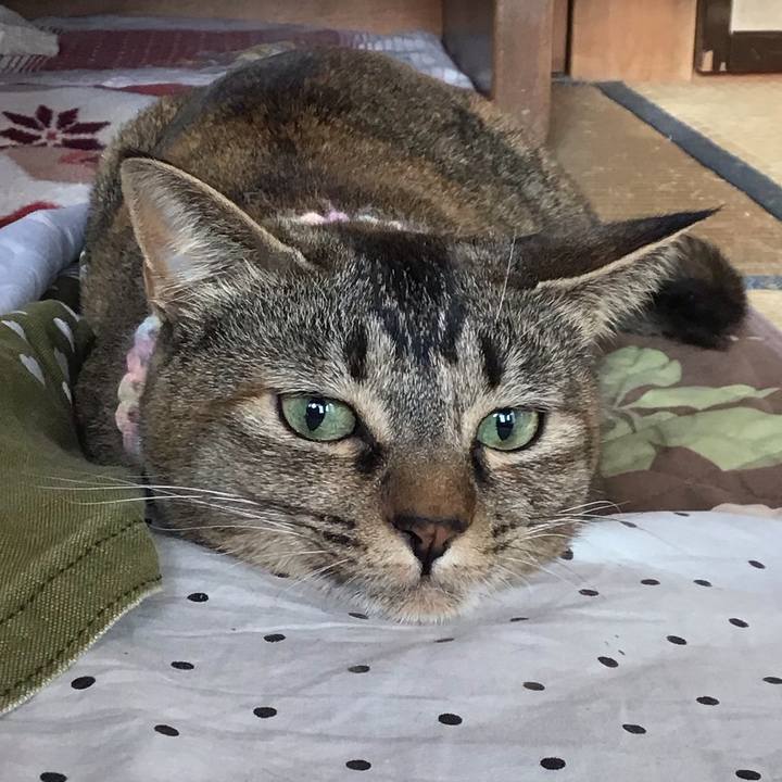 99dc290e b01f 478c 9bbd 40bfbb8e6e0d 1615937353325