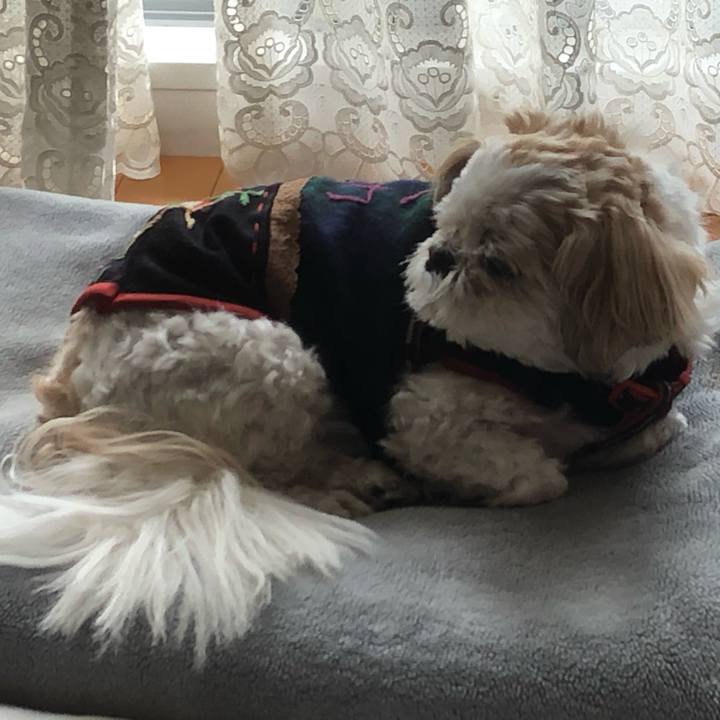 99dc3970 69ae 46b2 b58c 6f85bb88a925 1615240258917