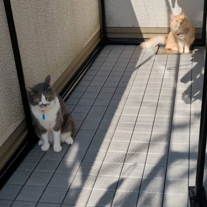 99dc3a12 5dc2 4956 ab0b 19099929b45c 1725443205369