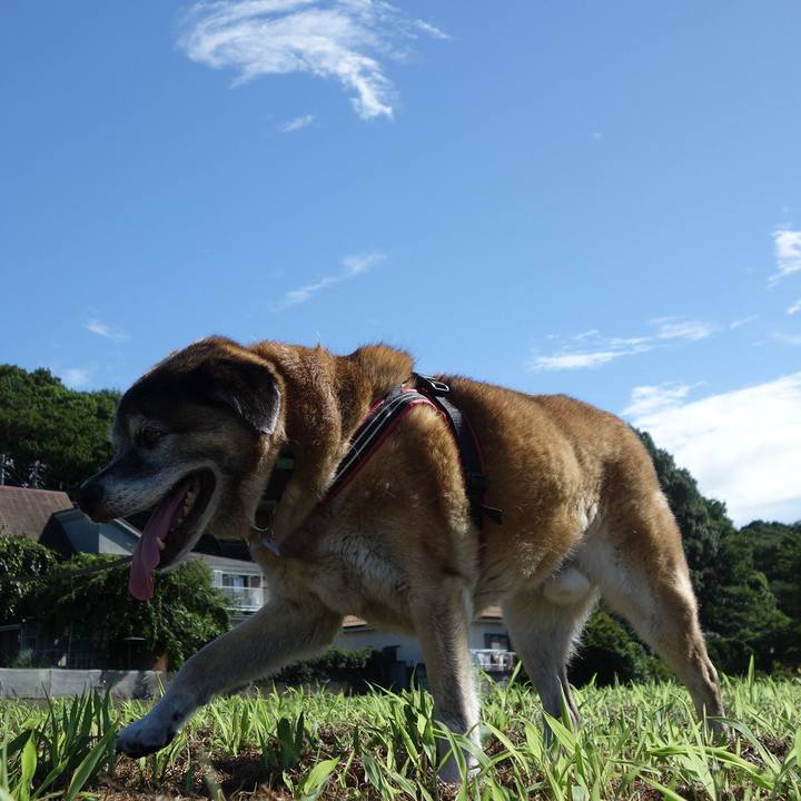 99dc4b82 f76d 4795 ad64 7451af62108f 1564189696915