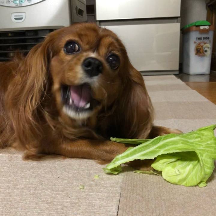 99dcb6a9 6991 4e05 8100 bb50a5ae1c63 1606132631186