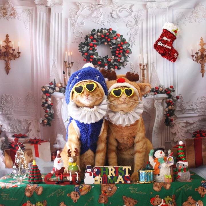 99dcba3b 2eb8 4191 8c03 8a6d4b1e3709 1765799328221