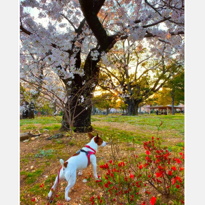 99dccf3b ad65 4671 ad05 014a85ec8066 1585997534532