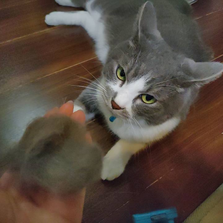 99dd24d9 f646 42c8 b482 8868125207b1 1723459078588