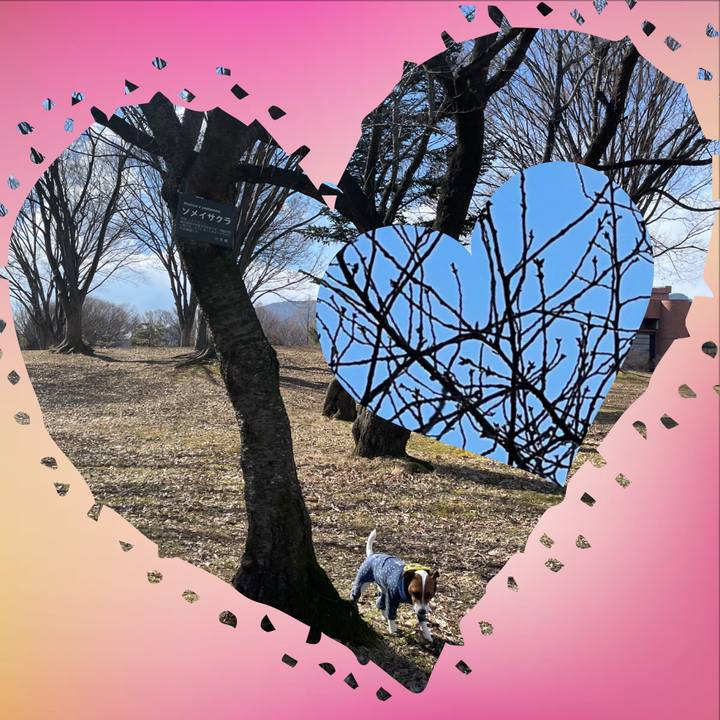 99dd3785 216c 4cb0 8d9e fee1be685cd7 1646289930866