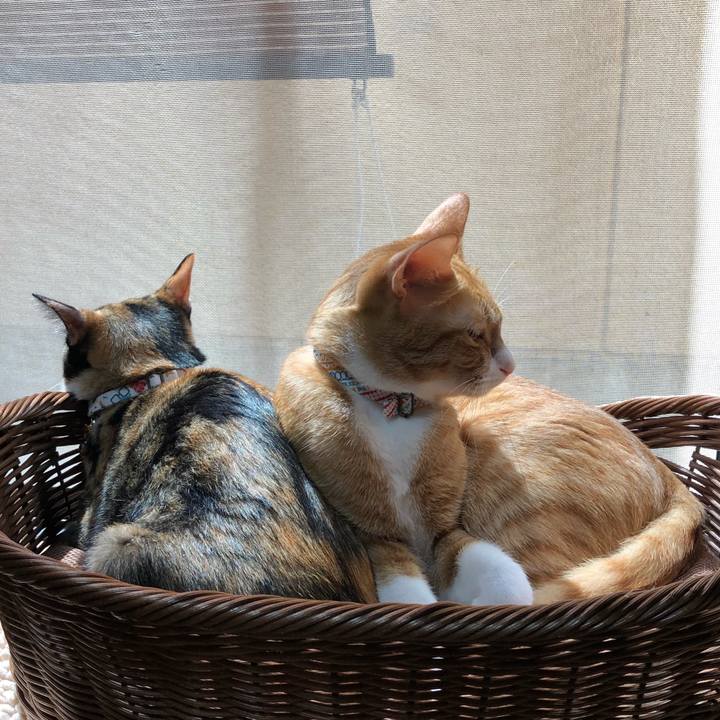 99dd7ca3 2f50 48cf b3a8 9da4b373d332 1569385509397