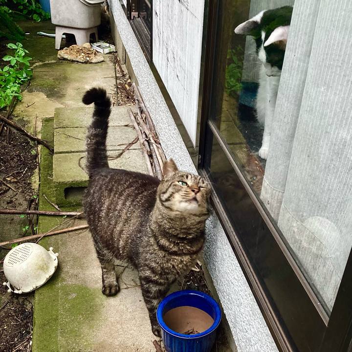 99dd810d f317 4074 be9b af16acc84713 1660555171208