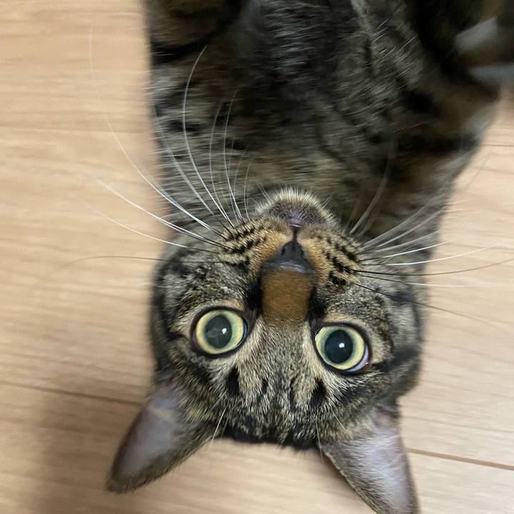 99dd9505 d9f5 423d 9846 12246ff4c943 1630587861268