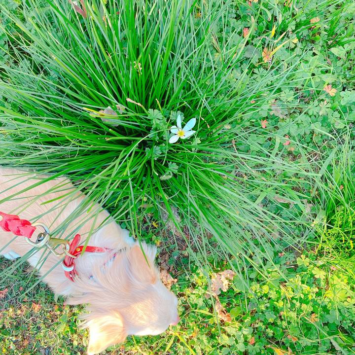 99dd9ec8 ac5a 4d07 bab0 9be2b5aee218 1637137482189