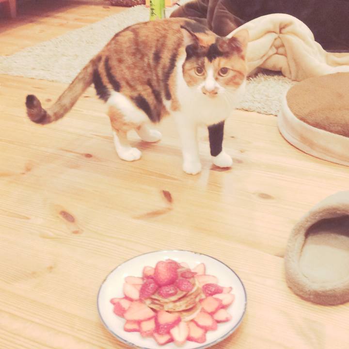 99ddb82a c04a 4fe8 b6f7 8eed2bf90905 1516655945793