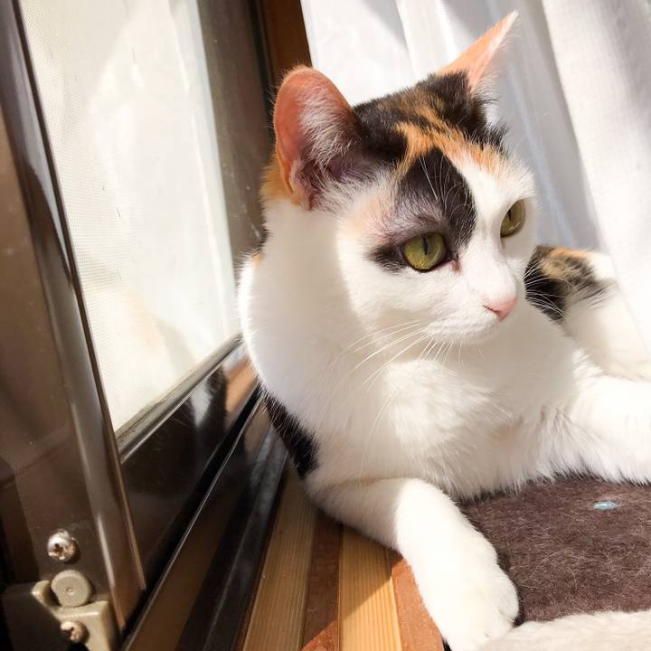 99ddc789 e82c 44cb 86df 1531e6ce1274 1525570760546