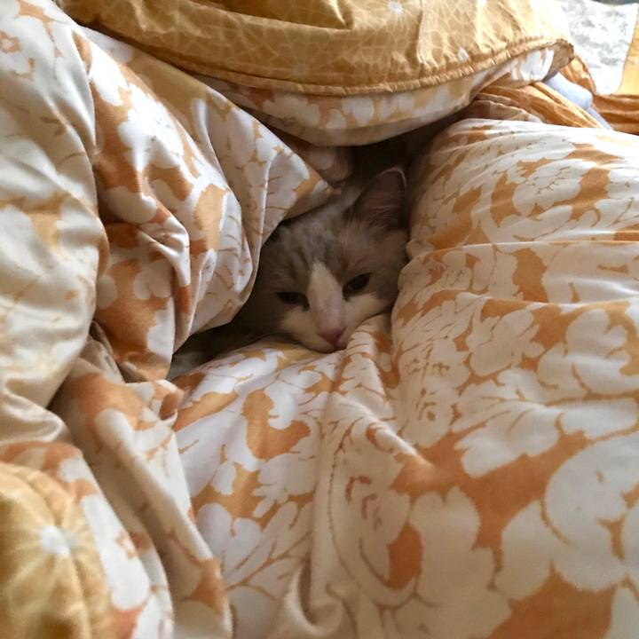 99ddd00c 36a5 4c9c 9fdc 133ab9ad0c0f 1572220092235