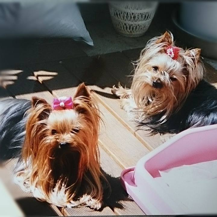 99dde1d9 526b 4a23 a25e b6a7a99063d5 1558326224524