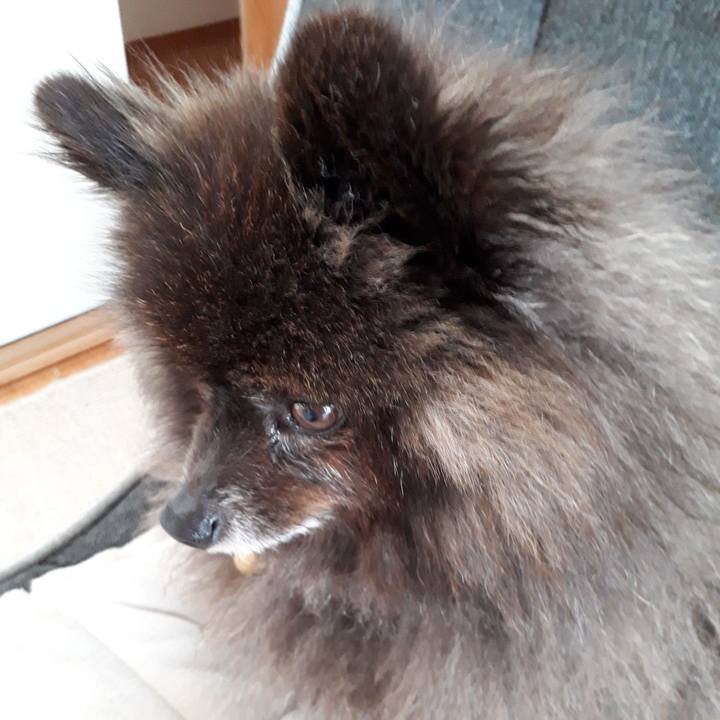 99de4c13 398a 42e0 83af 7bc9473424f1 1522208849863