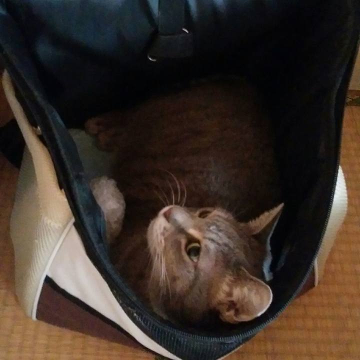 99de5fc0 0847 4b3d ba33 5e262ab6145f 1539643578949