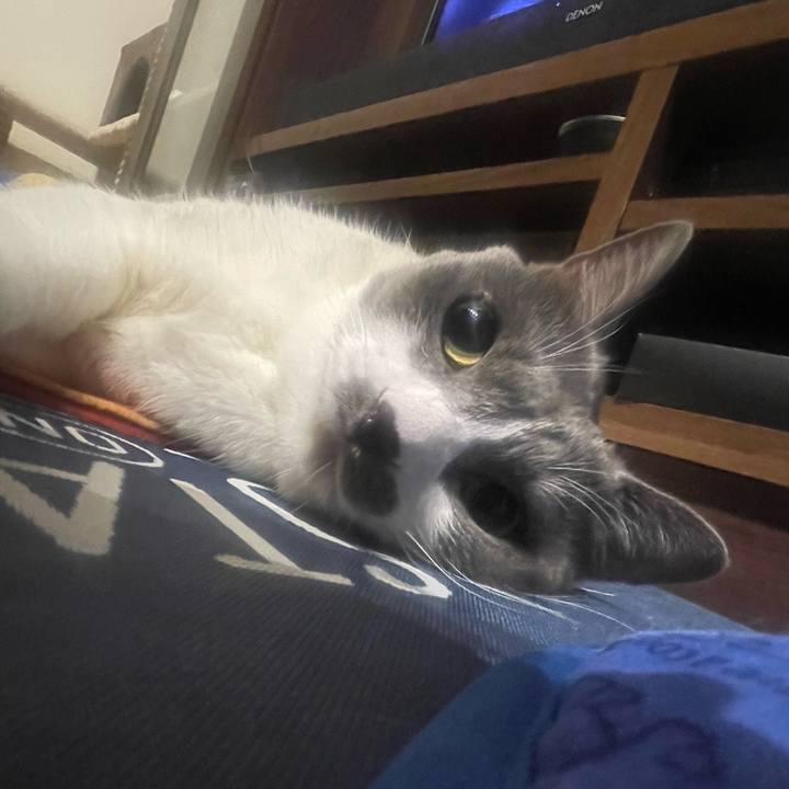 99dea016 6f6a 45ee b168 c9ac1f9d1fef 1724869845220