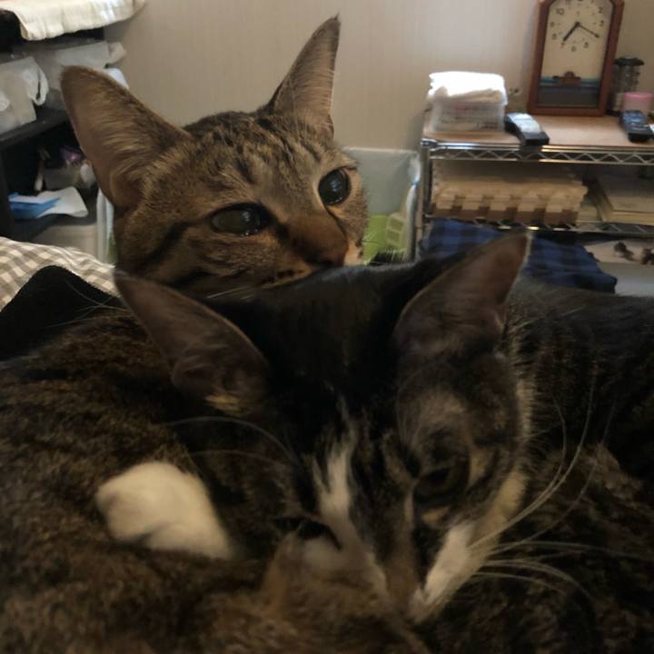 99dec0a2 ab9a 418d a797 f38da8be7626 1547714893270