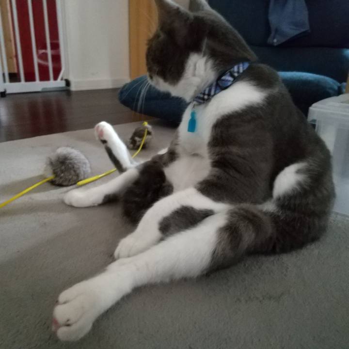 99dec85c aded 4cbd a249 80891bbbb838 1596148817037