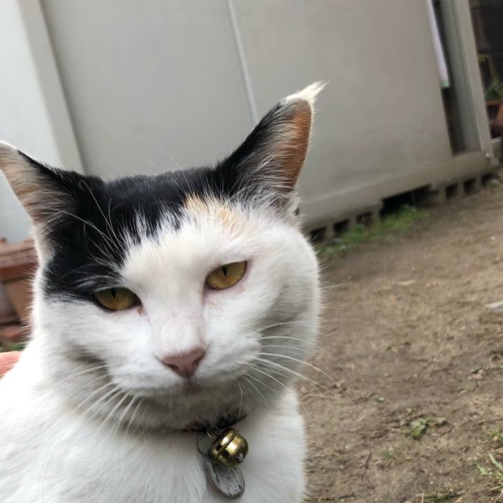 99df821d 9fc2 4f48 9d6c a133f7d129ab 1612656432216