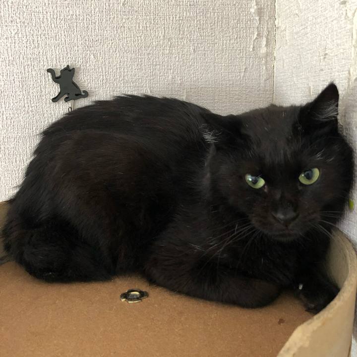 99dff9d0 60a9 4dd9 a001 ab8292c4965d 1566698557334