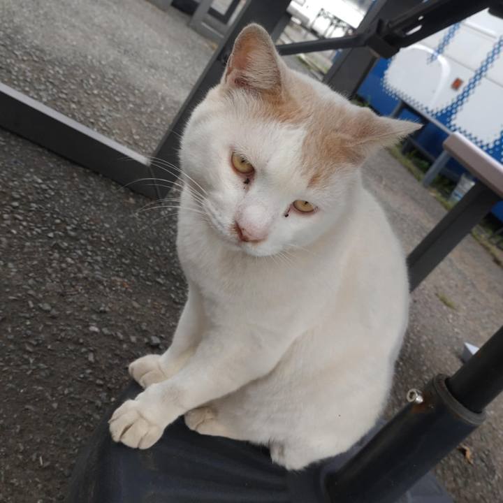 99e002c0 1307 4874 9dcb cba609dd6aeb 1759189730176