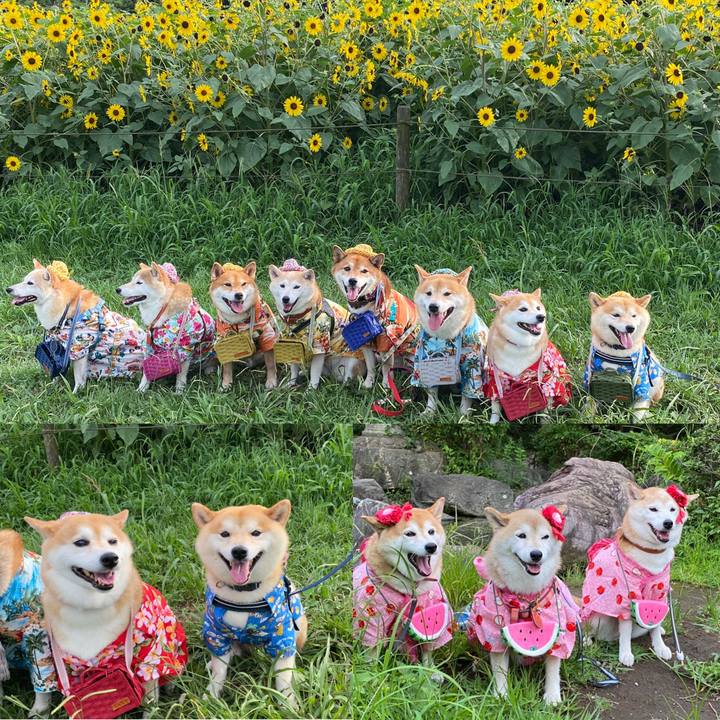 99e010e6 7dc1 4fe6 90e6 7a260d892440 1661175170105