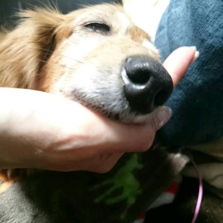 99e0264b 9641 4c6c 8228 ad9c6063ed29 1530030155958