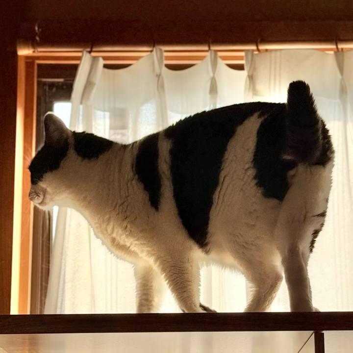 99e03242 83ba 47c5 afe2 44273e355b5e 1739758424432