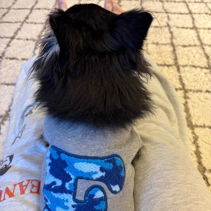 99e03f0f 9fba 4e48 bc73 7bb21f06f443 1742661464531