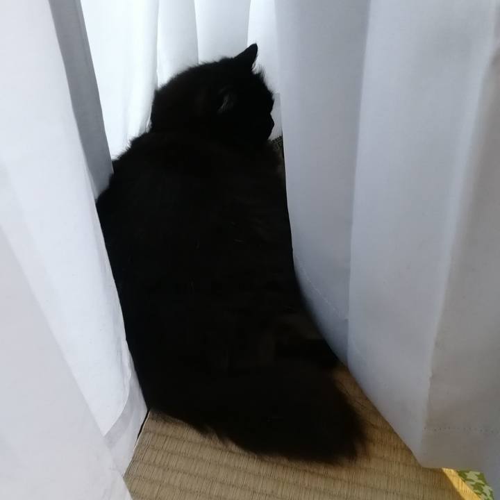 99e04775 93ce 4adc a64a 0eaafb38bd59 1527762474648