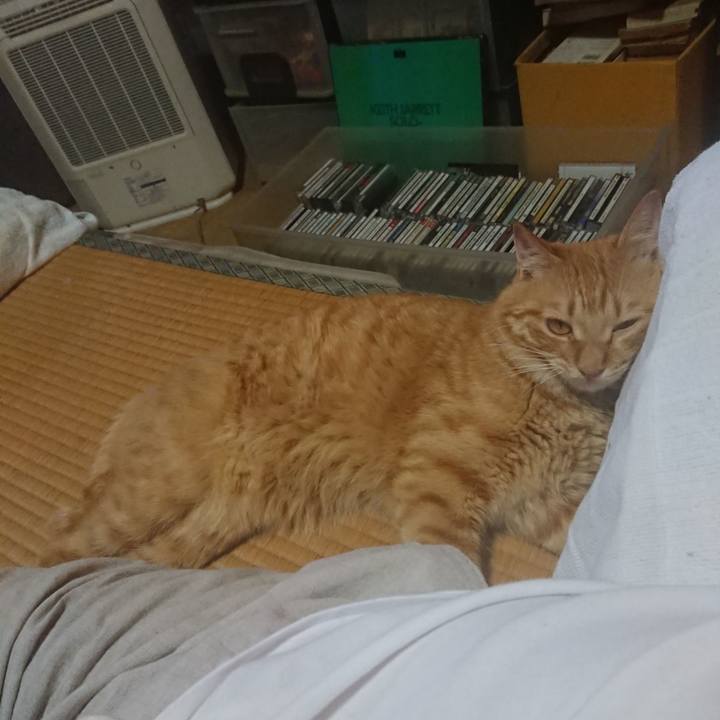 99e04f85 cc59 4b7b 8d81 67b6b65b40c4 1660900707268